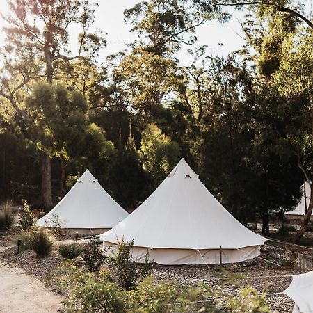 Bed and Breakfast Bay Of Fires Bush Retreat Binalong Bay Екстер'єр фото