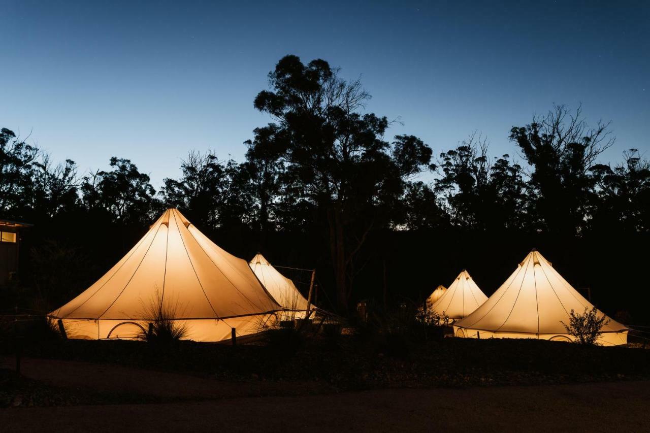 Bed and Breakfast Bay Of Fires Bush Retreat Binalong Bay Екстер'єр фото